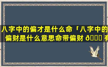 八字中的偏才是什么命「八字中的偏财是什么意思命带偏财 🐒 有哪些作用」